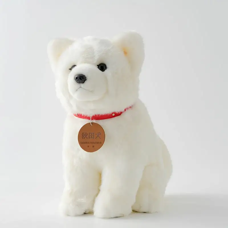 165P7304 秋田犬白毛(鼻黒)ぬいぐるみ　座りＬサイズ