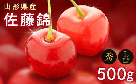 FYN9-601 《2026年先行予約》山形県産 さくらんぼ 佐藤錦 500g 秀 L以上 バラパック詰め 2026年6月上旬から順次発送 果実 果物くだもの フルーツ 桜桃 サクランボ 化粧箱 贈り物 ギフト 贈答用 家庭用 自宅用 産地直送 山形県 西川町 月山