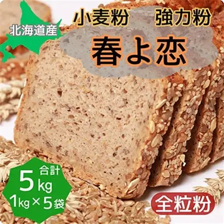 北海道産小麦　春よ恋(強力粉)　全粒粉　5kg (1kg×5袋)【1344202】