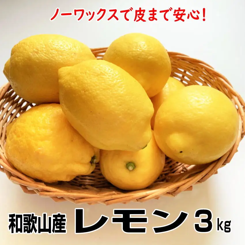 【1013-3】和歌山産レモン/グリーンレモン 3kg 【国産レモン】《先行予約》