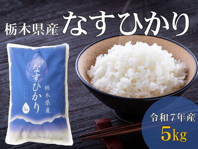 令和7年産 栃木県産 なすひかり 5kg JAなすの産地直送【大田原市・那須塩原市・那須町共通返礼品】〔P-85〕 ｜ 米 コメ こめ 白米 精米 新米