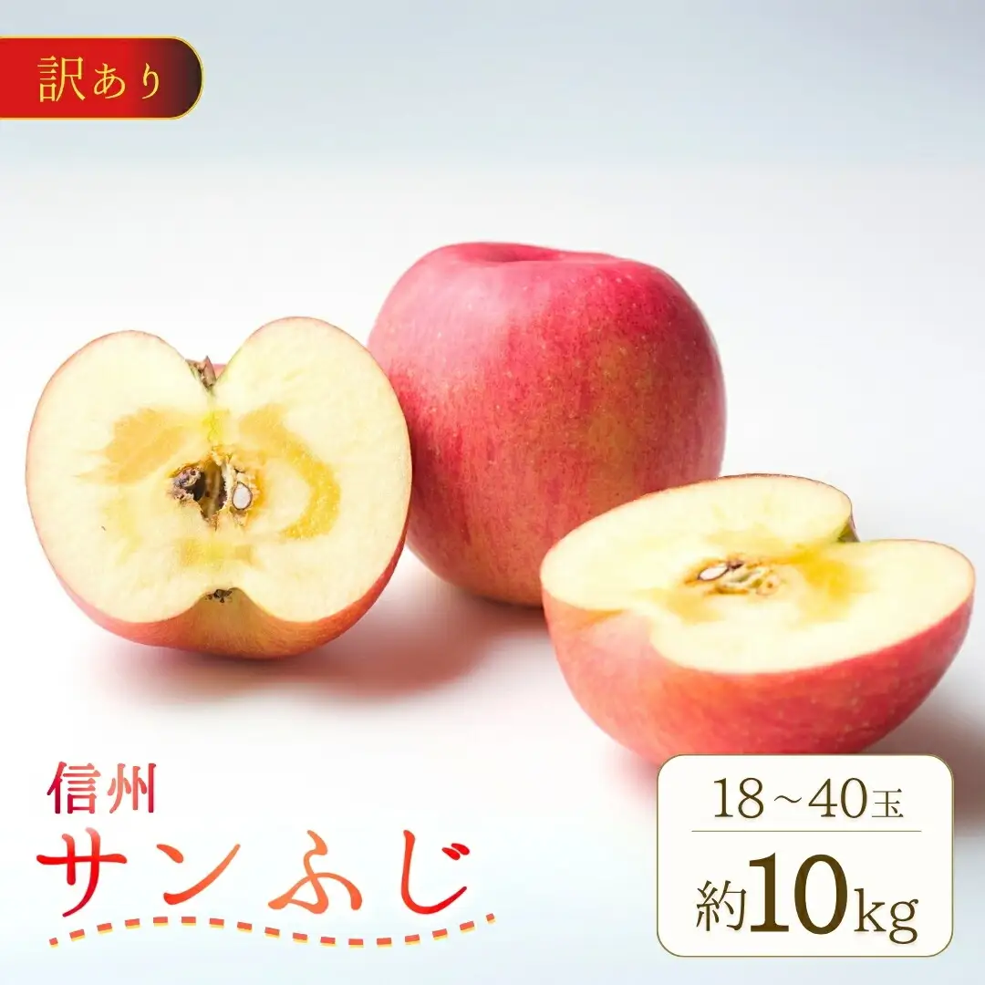 【2026年先行予約】訳あり りんご サンふじ 約10kg (18~40玉)  |りんご