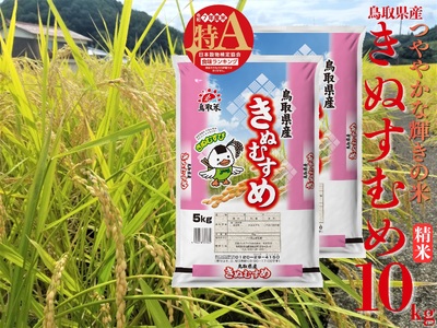 精米 10kg 白米 きぬむすめ 鳥取県産 令和7年産 | 47M