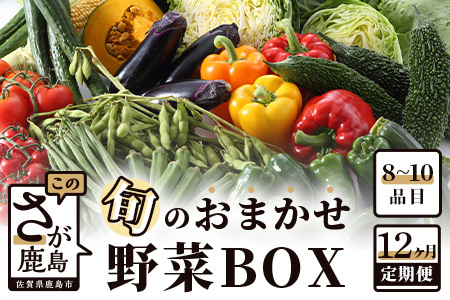 【12ヶ月定期便】旬のおまかせ 野菜 BOX 野菜定期便 旬の野菜 詰め合わせ 野菜 新鮮 野菜 8～10品目 H-13