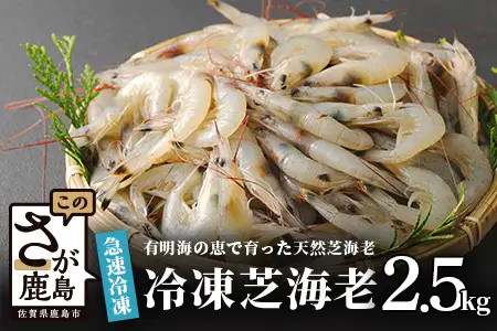  冷凍芝エビ（真エビ）2.5kg（500g×5パック） B-357