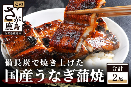 国産 うなぎの蒲焼【２尾入り】【うなぎ 秘伝のタレ付き 鰻の蒲焼 密封パック入り 国産 うなぎ蒲焼 ウナギ 備長炭 うなぎ 丑の日】D-6