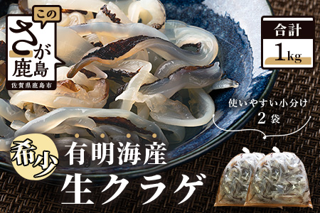 【有明海産】希少！新物！生クラゲ１ｋｇ（ビゼンクラゲ） AA-32