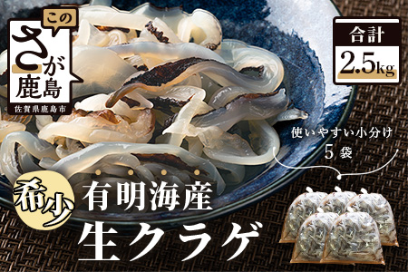 【有明海産】希少！新物！生クラゲ2.5ｋｇ（ビゼンクラゲ） B-433
