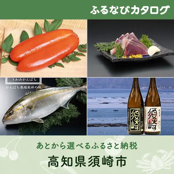 【有効期限なし！後からゆっくり特産品を選べる】高知県須崎市カタログポイント