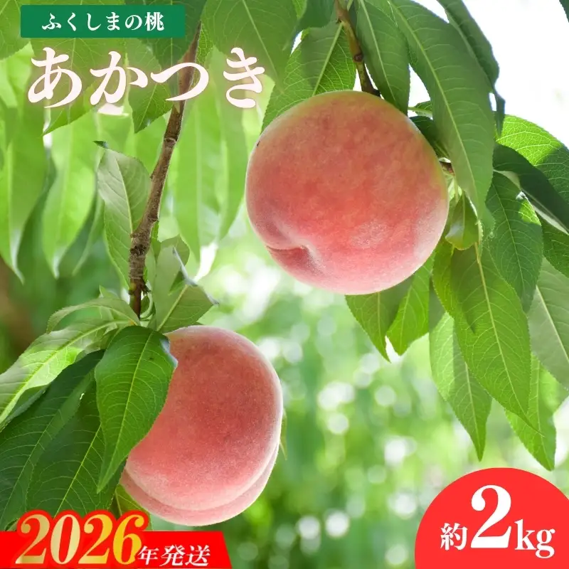 No.2211 もも「あかつき」約2kg【2026年発送】