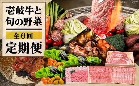 【全6回定期便】《A4〜A5ランク》壱岐牛と旬の野菜定期便 [JBO078] 《A4〜A5ランク》肉 黒毛和牛