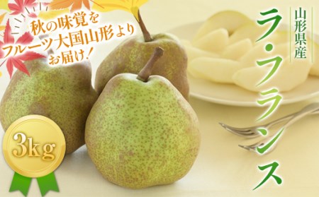 FYN6-427 ≪2026年先行予約≫山形県産 西洋梨 ラ・フランス 3kg (8～12玉) 2026年11月中旬から順次発送 洋梨 洋なし ラフランス 秋果実 果物 くだもの フルーツ ギフト 産地直送 山形県 西川町 月山