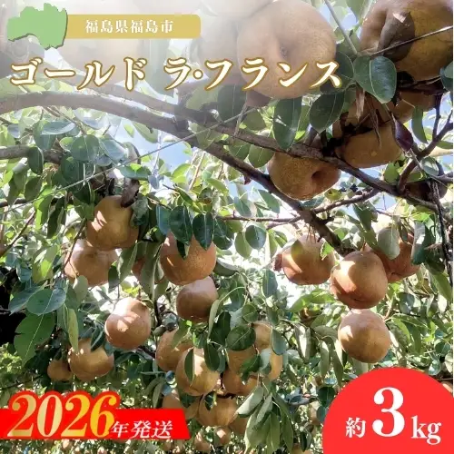 No.2233ヤマ考紺野果樹園 ゴールド ラフランス 約3kg【2026年発送】