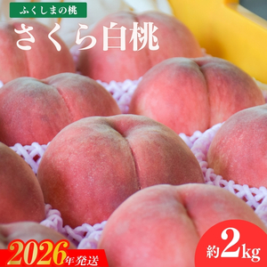 No.2236ヤマ考紺野果樹園 もも さくら白桃 約2kg【2026年発送】