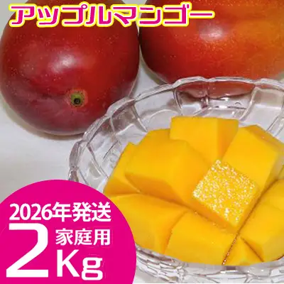 【2026年発送】　ご家庭で美味しく！アップルマンゴー約2kg【つは農園】 フルーツ 果物 期間限定 数量限定 先行予約 南国 プレゼント お土産 おみやげ ギフト くだもの 季節 おきなわ 青果 デザート おすすめ 人気 冷蔵 夏 スイーツ