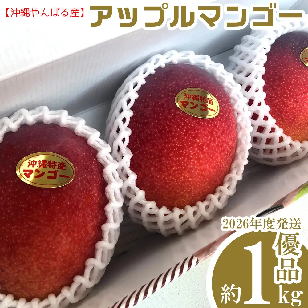 2026年発送【沖縄やんばる産】約1kg 優品アップルマンゴー（Ms mango farm） 南国 南国フルーツ 先行予約 期間限定 沖縄 甘味 糖度 フルーツ 果物 果実 プレゼント ギフト トロピカル 数量限定 予約 おすすめ くだもの 太陽 やんばる 自然