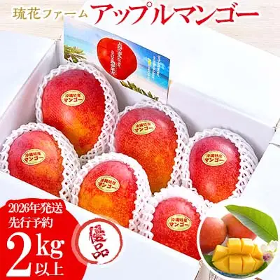 マンゴー【2026年発送先行予約】アップルマンゴー優品2kg以上