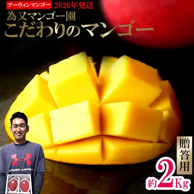 【2026年発送】為又マンゴー園　贈答用　こだわりのマンゴー　約2kg フルーツ 果物 期間限定 数量限定 マンゴー 南国 プレゼント お土産 おみやげ ギフト くだもの 沖縄 おきなわ 青果 デザート おすすめ 人気 冷蔵 夏 スイーツ