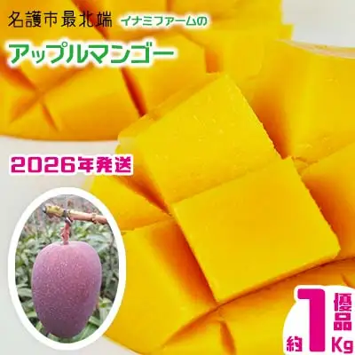 【2026年発送】名護市最北端イナミファームの　優品　アップルマンゴー 約1kg フルーツ 果物 期間限定 数量限定 マンゴー 南国 プレゼント お土産 おみやげ ギフト くだもの 沖縄 おきなわ 青果 デザート 冷蔵 おすすめ 人気 夏 スイーツ
