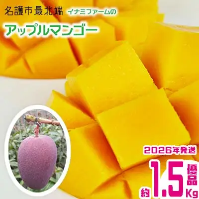 【2026年発送】名護市最北端イナミファームの　優品　アップルマンゴー 約1.5kg フルーツ 果物 期間限定 数量限定 マンゴー 南国 プレゼント お土産 おみやげ ギフト くだもの 季節 おきなわ 青果 デザート おすすめ 人気 冷蔵 夏 スイーツ