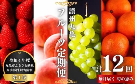 フルーツ定期便 12回 フルーツ いちご キウイ もも シャインマスカット みかん