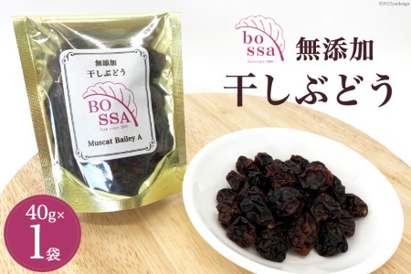 無添加 干しぶどう ボッサの干しぶどう 40g×1袋 マスカットベーリーA（種あり）国産 レーズン ドライフルーツ 砂糖不使用 ブドウ 葡萄 加工食品 お菓子 スイーツ おやつ 