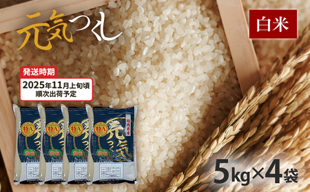 令和7年産　福岡県産ブランド米「元気つくし」白米20kg【11月上旬頃より順次出荷予定】