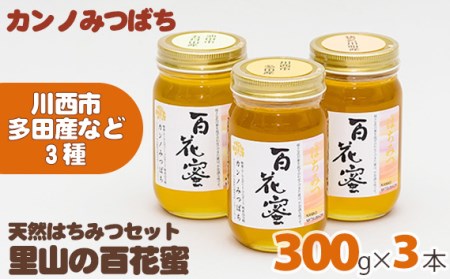 里山の百花蜜300gセット（天然はちみつセット）［No.093］