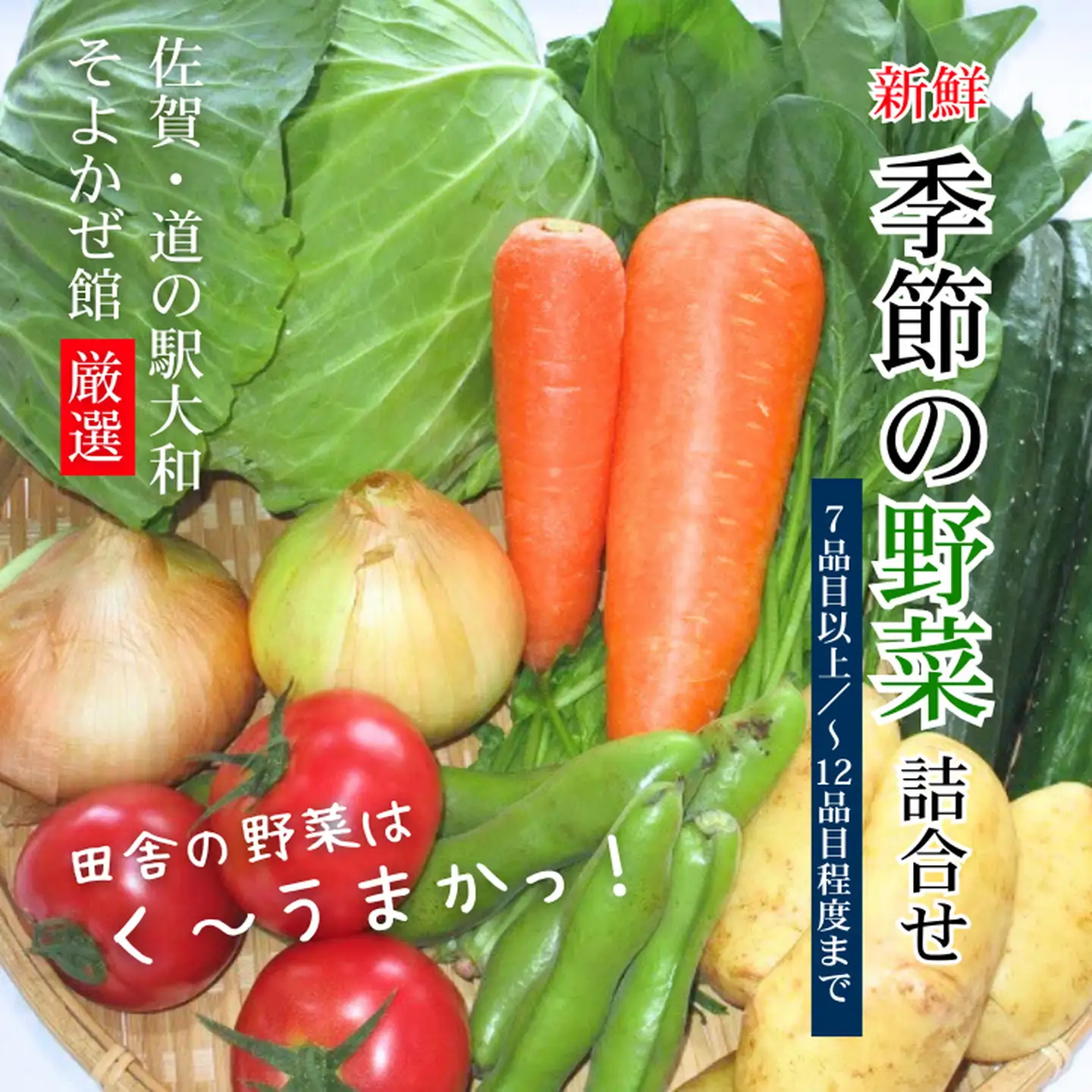 新鮮・季節の野菜詰め合わせ：B120-006