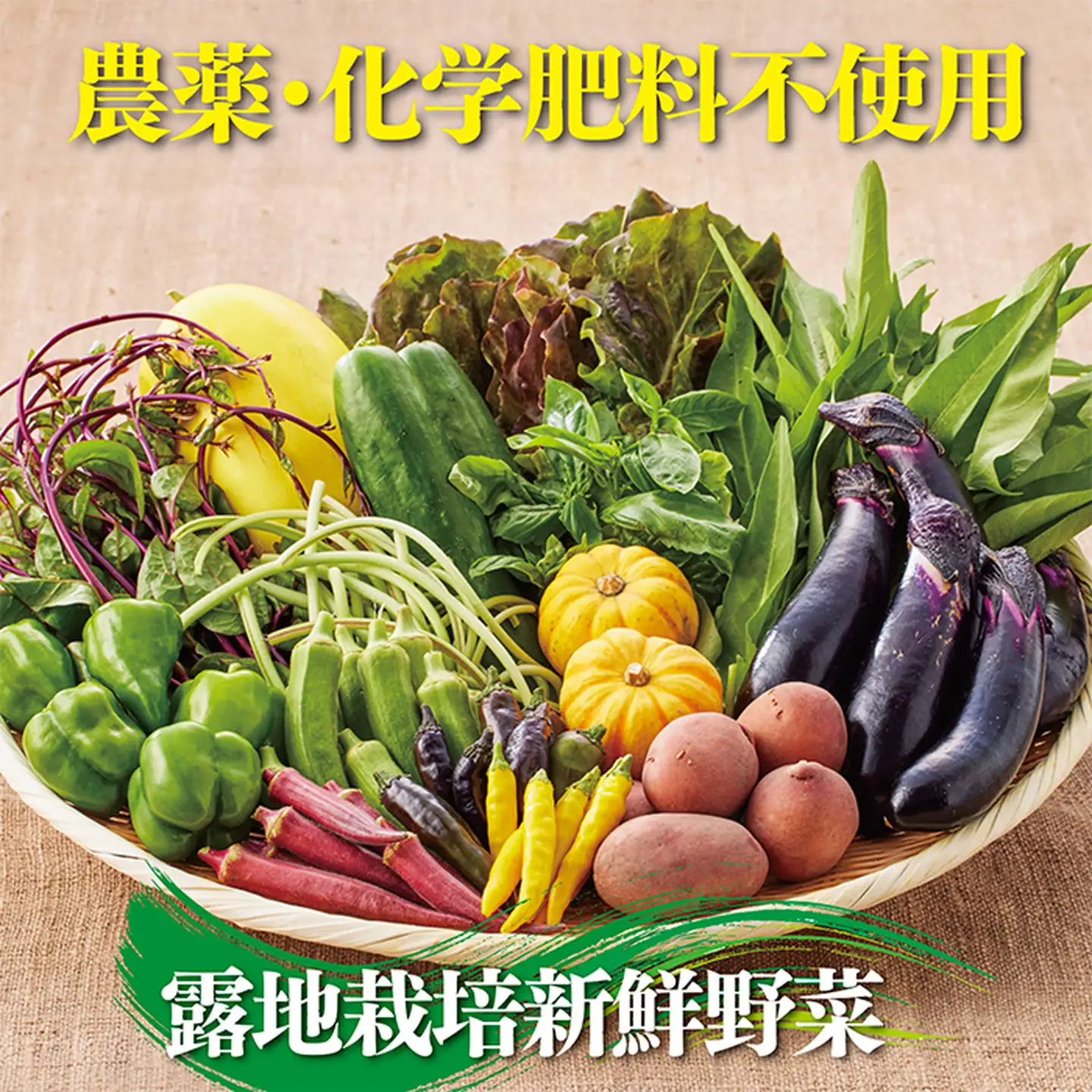 佐賀産季節の旬野菜10種類（農薬・化学肥料不使用）：B120-036