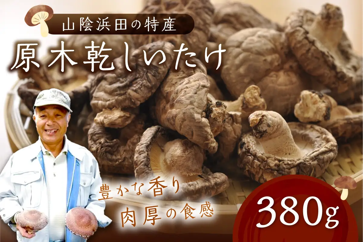 山陰浜田の特産「特選原木乾しいたけ」380g 椎茸 乾物 干し 乾燥しいたけ きのこ 原木栽培 原木椎茸 原木しいたけ 肉厚しいたけ 【010_1940】