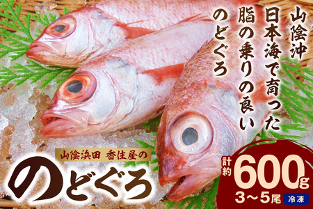 山陰浜田 香住屋の「のどぐろ」煮付け・塩焼き用（3～5尾・600g） のどぐろ 煮付け 塩焼き 下処理済 特産品 おすすめ 海鮮【024_1978】