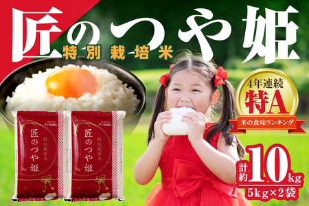 【令和7年産】特別栽培米「匠のつや姫」5kg×2袋 米 お米 つや姫 つやひめ 10キロ 2袋 お取り寄せ 人気 特A 【058_1846】