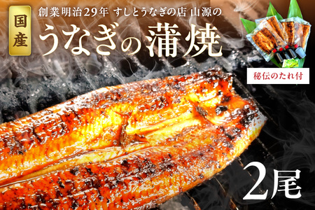 120余年守り抜いた秘伝のたれで焼いた 鰻の蒲焼 2尾（4人前）セット 国産 うなぎ 2尾 魚介類 魚貝類 父の日 土用の丑の日 お祝い お中元 夏バテ防止 疲労回復 おかず つまみ【104_0328】