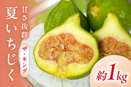 【先行予約】夏いちじく（キング）6月中旬～7月上旬発送予定 1kg~1.2kg【113_2057】