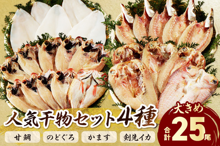 山陰浜田港 水揚げされた大きめ人気干物セット 魚介類 魚貝類 魚介 魚 干物 干もの 一夜干し 干物セット セット 加工品 【025_0426】