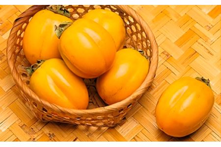 【先行予約】山陰浜田の特産果樹「西条柿」（あわせ柿）2.5kg ＜10月上旬以降のお届け＞【010_1943】