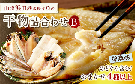 浜田港水揚げ魚の薄塩味干物B（のどぐろを含む） 魚介類 魚貝類 薄塩味 干物 干もの 一夜干し セット 人気 お取り寄せ 【019_1946】