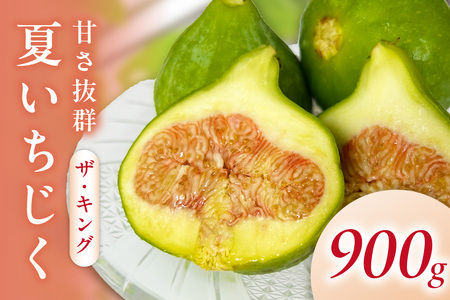 【先行予約】浜田の夏いちじく！甘さ抜群「ザ・キング」 約900g【113_2059】