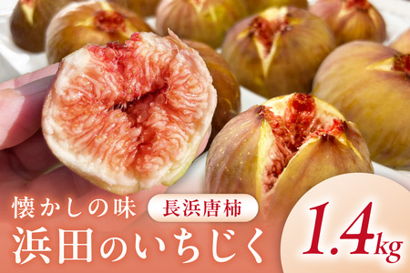 【先行予約】浜田のいちじく懐かしの味！長浜唐柿（蓬莱柿）生食用 約1.4kg【113_2060】