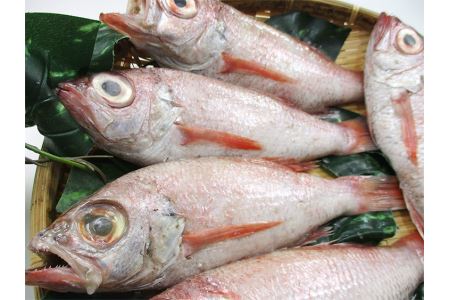 大秀商店の「のどぐろ（煮付け用）」（5尾入り） 魚介類 魚 海鮮 のどぐろ 煮つけ用 煮付け用 5尾 下処理済 冷凍 【038_1201】