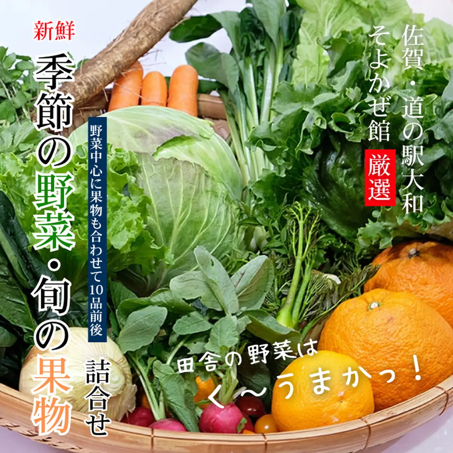 旬の野菜と果物セット：B165-002