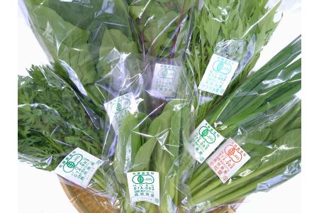 みうらファームが選んだ 旬の有機野菜厳選8品セット 野菜 有機野菜 セット 厳選 8品 旬 有機JAS認証 詰め合わせ 産地直送 【109_1351】