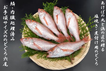 山陰浜田港あけぼの丸の塩焼き・煮付け用お手頃のどぐろセット（冷凍） 魚介類 魚貝類 のどぐろ 塩焼き 煮付 内臓処理済み 【146_2043】