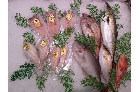 鮮魚と干魚のコラボセット 年6回定期便（偶数月配送） 定期便 6回 鮮魚詰め合わせ 鮮魚 干物 ひもの 冷蔵 お任せ セット 詰め合わせ 下処理済 一夜干し 【096_1697】