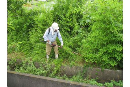浜田市シルバー人材センター 3,000円分サービス 草刈り 掃除 相談 お手伝い 帰省 お盆 お彼岸 代行 【134_1524】