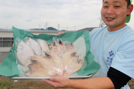 創業令和3年！何十年ぶりに浜田で鮮魚店誕生◎気合の入ったこだわり干物◎ 魚介 干物 ひもの 一夜干し おかず おつまみ 詰め合わせ セット 厳選 ギフト こだわり ふるさと納税 干物 【171_1638】