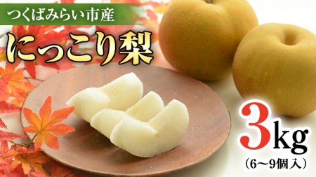 にっこり梨 3kg 【10月発送開始】