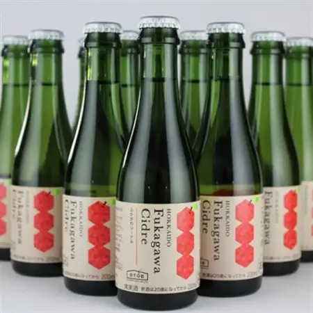 深川産りんご使用果実酒ふかがわシードル飲みきりサイズ12本【中口 200ml×12本セット】【1345828】