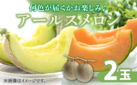 【2026年11月中旬-発送】アールス メロン (2玉) / メロン めろん メロン めろん メロン 青肉 果物 フルーツ / 南島原市 / JA島原雲仙東南部基幹センター [SAC004]
